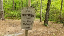 20200422_143347.jpg 20200422_143347.jpg