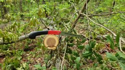 20200422_145132.jpg 20200422_145132.jpg