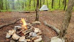 20200422_175208.jpg 20200422_175208.jpg