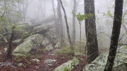 20200423_080804.jpg 20200423_080804.jpg