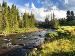 East Fork Blacks Fork.jpg