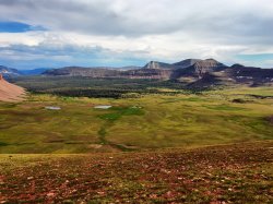 Looking Toward Lambert .jpg