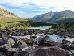 Deadhorse Skeleton.jpg