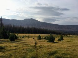 Ledge Lake Trail.jpg