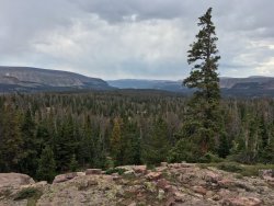 Overlooking Lambert Lake.jpg