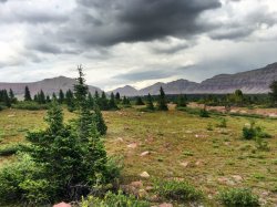 Lambert Meadow Camp.jpg