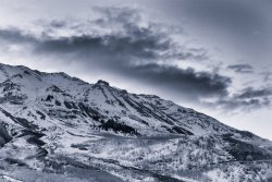 Frontside Timp 4-20200009-bw_1.jpg