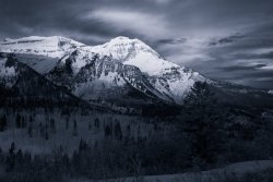 Timp Ridge Trail 4-20200222-bw.jpg