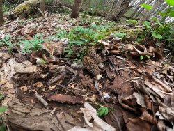 GP__0022.JPG GP__0022.JPG