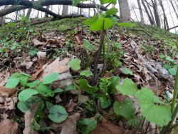 GP__0027.JPG GP__0027.JPG