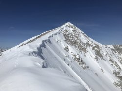 9809D318-F546-4197-B01F-239E1B4F7E72.jpeg 9809D318-F546-4197-B01F-239E1B4F7E72.jpeg