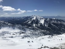 2D73023C-D74D-45D0-8A05-309D67E95128.jpeg 2D73023C-D74D-45D0-8A05-309D67E95128.jpeg