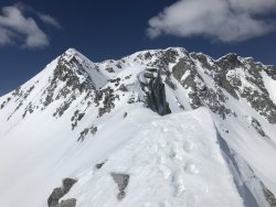 E770AFF9-4479-483B-AE79-05D3193C21D2.jpeg E770AFF9-4479-483B-AE79-05D3193C21D2.jpeg