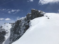 312F50B0-D632-42B4-A6FB-FC53B0F905AB.jpeg 312F50B0-D632-42B4-A6FB-FC53B0F905AB.jpeg