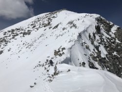 12C45BB8-E422-4A86-8397-0FCB2735415E.jpeg 12C45BB8-E422-4A86-8397-0FCB2735415E.jpeg