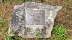 20200501_165101.jpg 20200501_165101.jpg