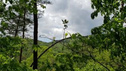 20200430_133446.jpg 20200430_133446.jpg