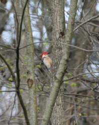 5J5A3738.JPG 5J5A3738.JPG