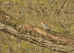 5J5A3739.JPG 5J5A3739.JPG