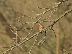 5J5A3744.JPG 5J5A3744.JPG