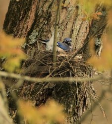 5J5A3757.JPG 5J5A3757.JPG