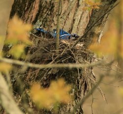 5J5A3759.JPG 5J5A3759.JPG