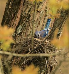 5J5A3760.JPG 5J5A3760.JPG