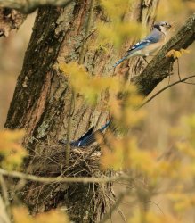 5J5A3761.JPG 5J5A3761.JPG