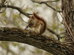 5J5A3781.JPG 5J5A3781.JPG