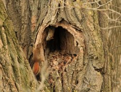 5J5A3793.JPG 5J5A3793.JPG