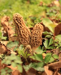 5J5A3816.JPG 5J5A3816.JPG