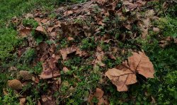 GPAA0039.JPG GPAA0039.JPG