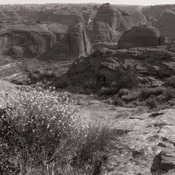 That Famous Gulch 5-20200033-bw-cr.jpg