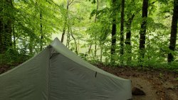 20200506_095929.jpg 20200506_095929.jpg