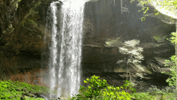 20200506_123637_1.gif 20200506_123637_1.gif