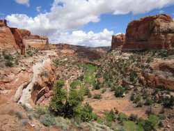 IMG_6837 [1024x768].JPG