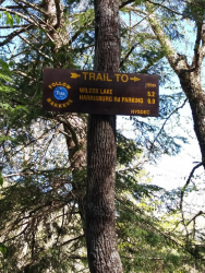 1590412302927.png 1590412302927.png