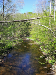 1590412324246.png 1590412324246.png