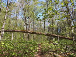 1590412417206.png 1590412417206.png