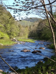 1590412524325.png 1590412524325.png