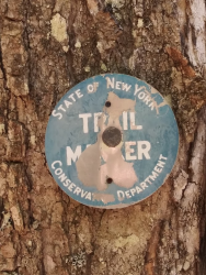 1590412538408.png 1590412538408.png