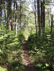 1590412610129.png 1590412610129.png