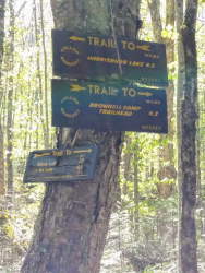 1590412748552.png 1590412748552.png