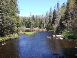 1590412813561.png 1590412813561.png