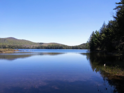 1590412877305.png 1590412877305.png