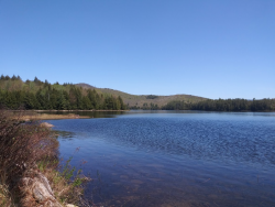 1590413055303.png 1590413055303.png