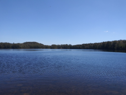 1590413108368.png 1590413108368.png