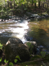 1590413232848.png 1590413232848.png