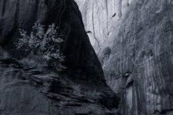 Choprock Escalante 5-20200624-bw-br-sm.jpg