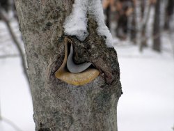 6C370177-2638-4EF3-861B-BBD153965EDF.jpeg 6C370177-2638-4EF3-861B-BBD153965EDF.jpeg